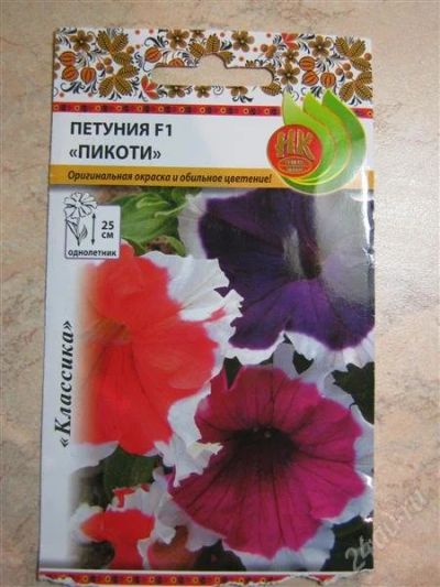 Лот: 2752168. Фото: 1. Петуния Пикоти (рассада). Другое (семена, рассада, садовые растения)