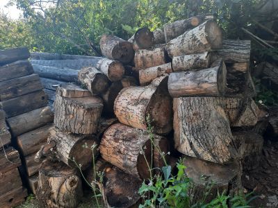 Лот: 18051093. Фото: 1. Дрова. Другие (дрова, топливо)