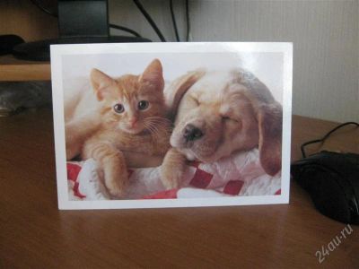 Лот: 1096751. Фото: 1. открытка 3. все мои открытки отдам... Открытки, конверты