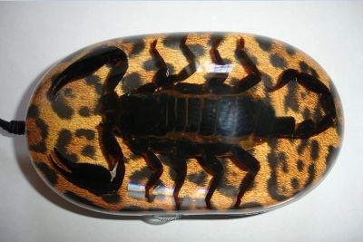 Лот: 3247436. Фото: 1. Оптическая мышь USB со скорпионом... Клавиатуры и мыши