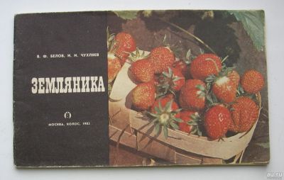 Лот: 16061514. Фото: 1. Белов В.Ф. Чухляев И.И. Земляника. Сад, огород, цветы