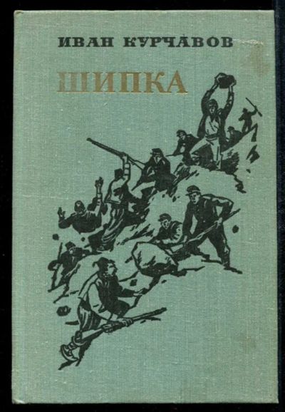 Лот: 23435057. Фото: 1. Шипка | Роман. Художественная