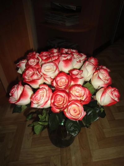 Лот: 3555256. Фото: 1. Шикарный букет из роз. Новый... Другое (семена, рассада, садовые растения)