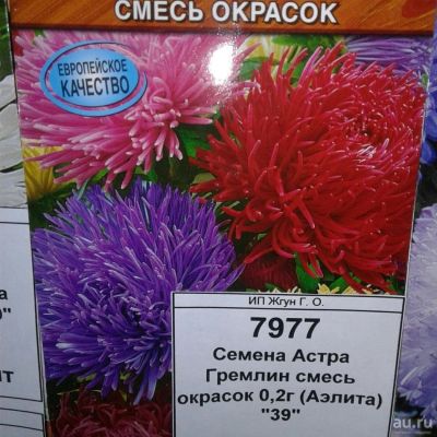 Лот: 9111210. Фото: 1. Семена / Астра / Гремлин / смесь... Садовые цветы