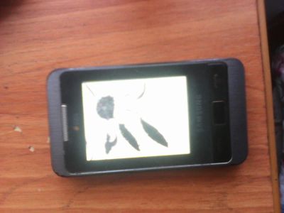 Лот: 4509530. Фото: 1. samsung gt-C3332 DUOS. Смартфоны