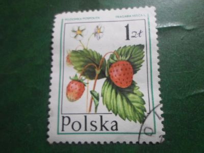 Лот: 18654791. Фото: 1. Марка для Вашей коллекции. №50133. Марки