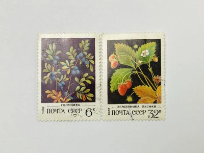 Лот: 23315493. Фото: 1. Дикорастущие ягоды. Неполная серия... Марки