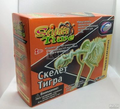Лот: 11011559. Фото: 1. Наглядное пособие Science Time... Конструкторы