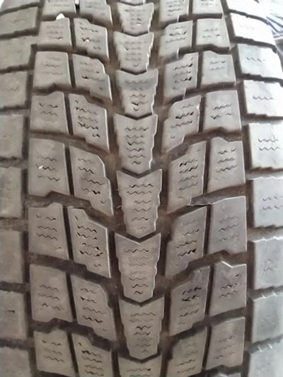 Лот: 16445415. Фото: 1. Шина Dunlop SJ6. Шины
