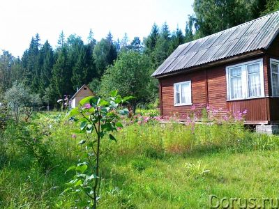 Лот: 8548951. Фото: 1. Куплю дачу с жилым домом!. Дачи