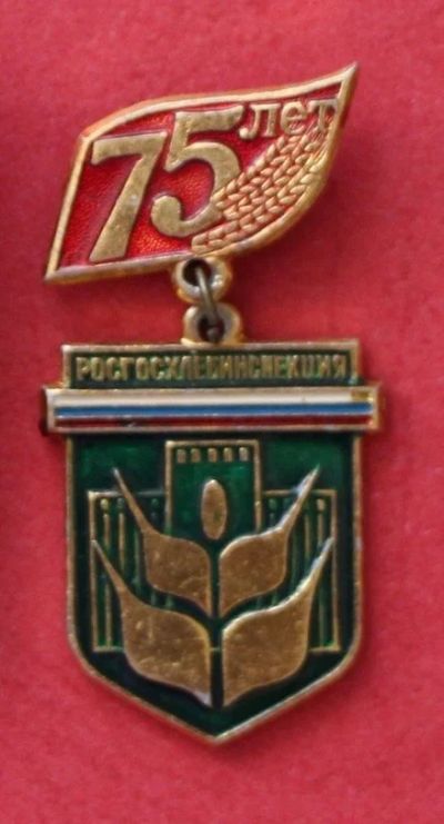 Лот: 11764321. Фото: 1. Значок: 75 лет. Росгосхлебинспекция... Юбилейные