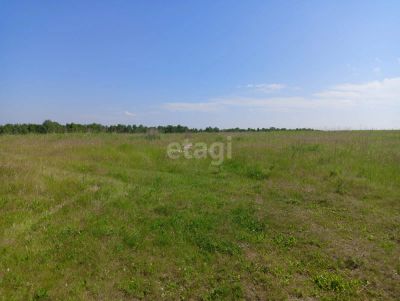 Лот: 25291511. Фото: 1. участок , СТ Лиственная грива... Земельные участки