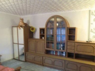 Лот: 6715580. Фото: 1. Ленина 91, однокомнатная в аренду... Квартиры, студии