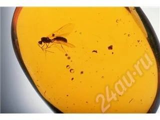 Лот: 76705. Фото: 1. ЭД-20 - Смола Эпоксидная 1.5 литра... Материалы, химия