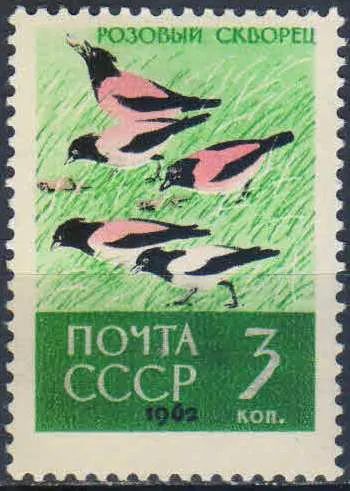 Лот: 25580582. Фото: 1. 1962, декабрь. Птицы. н.с. № 2790. Марки