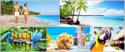 Лот: 12029724. Фото: 1. 🌴💃 Доминикана 🐬🦋 - от 56 500... Туры, путёвки, билеты