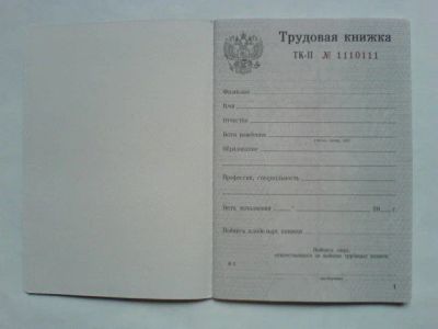 Лот: 9045105. Фото: 1. трудовая книжка тк-3. Записные книжки, ежедневники, блокноты