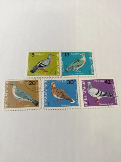 Лот: 24886751. Фото: 1. Марки 1984 г. Болгария. Фауна... Марки
