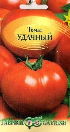 Лот: 3937125. Фото: 1. Томат (помидоры) Удачный (рассада... Другое (семена, рассада, садовые растения)