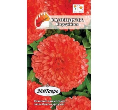 Лот: 11024746. Фото: 1. Календула Кардинал 0,2грАгропрезент. Садовые цветы