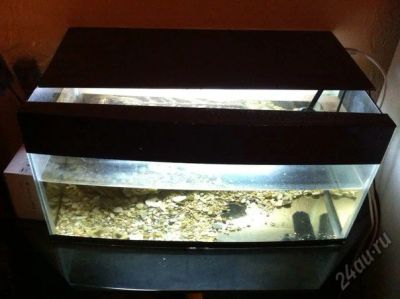 Лот: 3394000. Фото: 1. аквариум с крышкой. Аквариумы, террариумы
