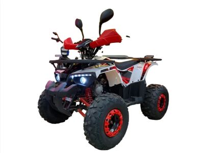Лот: 25788122. Фото: 1. Квадроцикл MOTORHEAD Hammer 125. Снегоходы, квадроциклы