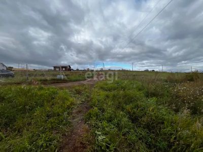 Лот: 25288470. Фото: 1. участок , ТСН Березняки ТСН Березняки... Земельные участки