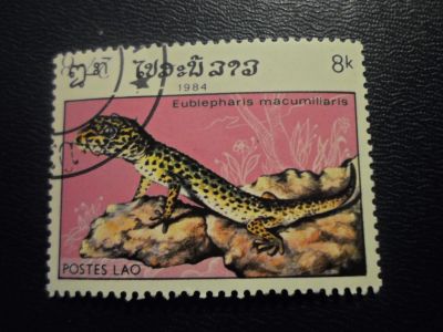 Лот: 17184538. Фото: 1. Марка для Вашей коллекции. №25099. Марки