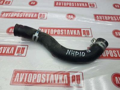 Лот: 20902402. Фото: 1. Шланг радиатора Toyota Aqua NHP10... Кузов