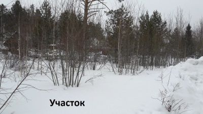 Лот: 10971633. Фото: 1. Участок в Калягино (СНТ Связист... Земельные участки