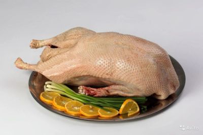 Лот: 6668423. Фото: 1. Мясо гуся!!!. Мясо, птица, яйцо