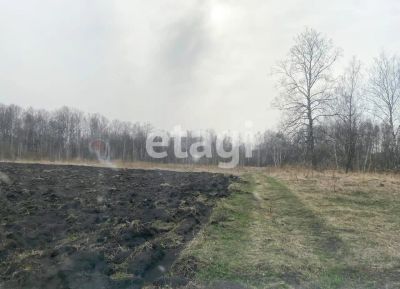 Лот: 25286274. Фото: 1. участок , село Никольское село... Земельные участки