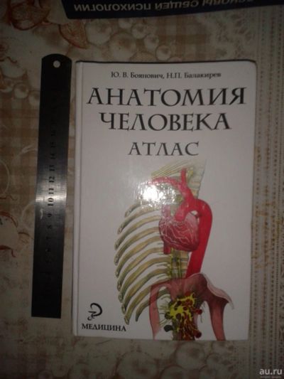 Лот: 18180572. Фото: 1. Атлас анатомии человека. Боянович... Популярная и народная медицина