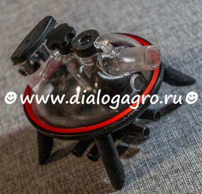 Лот: 25406140. Фото: 1. Барбарос Коллектор 240сс "- -... Другое (животные и уход)