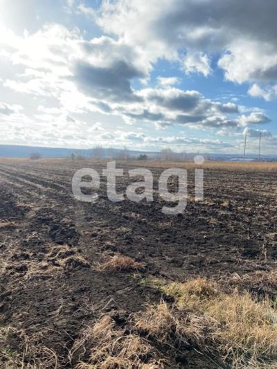 Лот: 25293085. Фото: 1. участок , садоводческое некоммерческое... Земельные участки