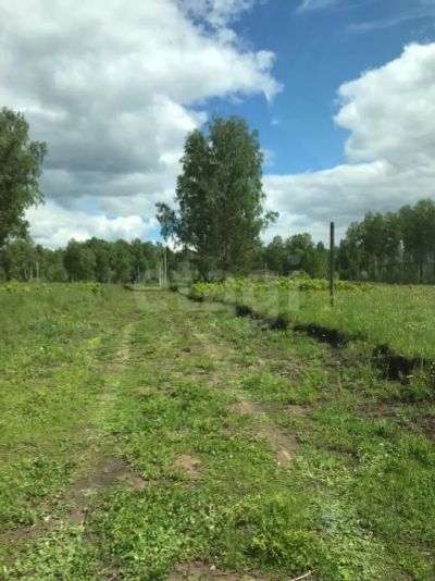 Лот: 25322314. Фото: 1. участок , посёлок городского типа... Земельные участки