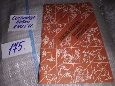 Лот: 17556804. Фото: 1. (1092381)Дейнега Г.Ф. Жизнь вдвоем... Книги для родителей
