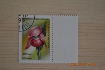 Лот: 6776334. Фото: 1. Марка Мадагаскара 1993г. Башмачок... Марки