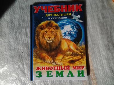 Лот: 5372271. Фото: 1. В. Степанов "Зеленый мир земли... Другое (литература, книги)