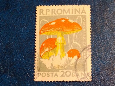 Лот: 24993813. Фото: 1. - Марки для Вашей коллекции. лот... Марки