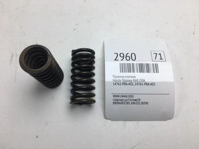 Лот: 20374498. Фото: 1. Пружина клапана Honda Odyssey... Двигатель и элементы двигателя