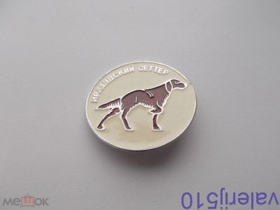 Лот: 24426079. Фото: 1. Редкий значок!!! Ирландский сеттер... Сувенирные