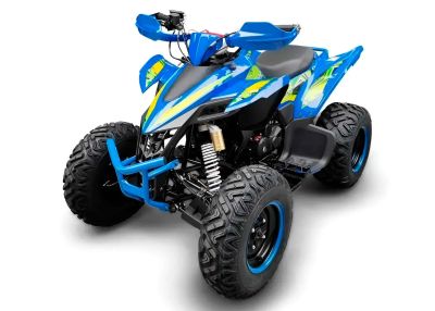 Лот: 25740259. Фото: 1. Квадроцикл RACER Typhoon 250. Снегоходы, квадроциклы