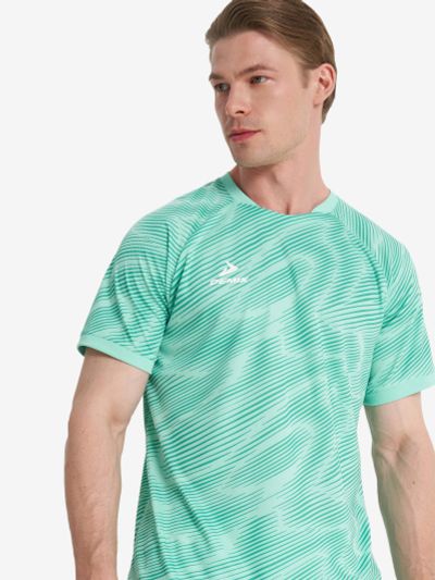 Лот: 22434907. Фото: 1. Футболка мужская Demix Winger... Другое (спортивная одежда)