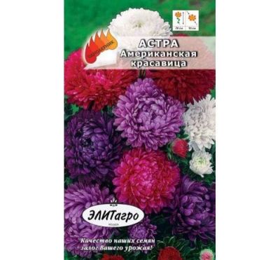 Лот: 11025514. Фото: 1. ЦВ.Астра Американская красавица... Садовые цветы