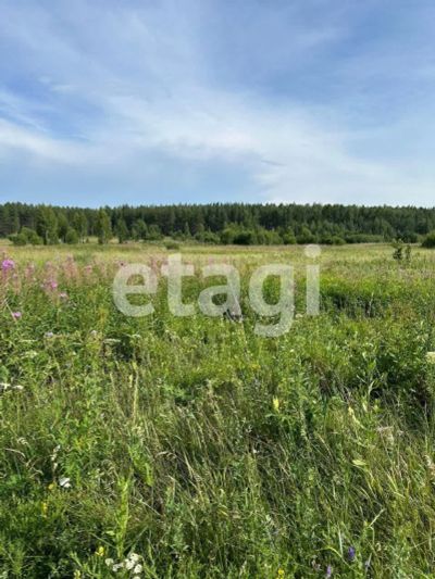 Лот: 25297897. Фото: 1. участок , Красноярск Красноярск... Земельные участки