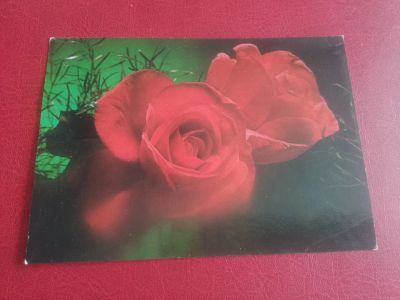 Лот: 20043763. Фото: 1. открытка Розы, издательство Братислава. Открытки, конверты