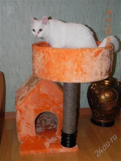Лот: 2100792. Фото: 1. дом для кошки (кошкин дом). Другое (растения и животные)