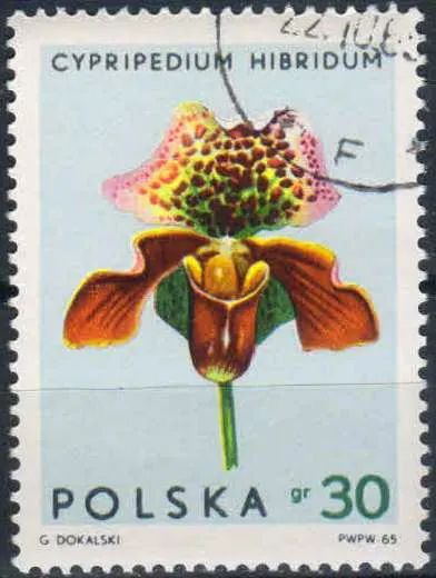 Лот: 25169351. Фото: 1. 1965. Польша. Орхидеи. н.с... Марки