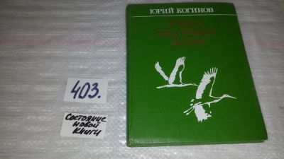 Лот: 9530156. Фото: 1. К кому прилетают аисты, Когинов... Художественная